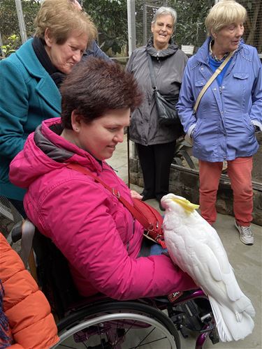 Met Samana Boseind een droomwens in vervulling - Pelt