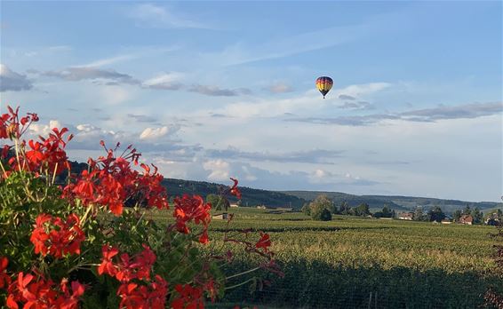 Met vakantiegroeten uit... Beaune - Pelt