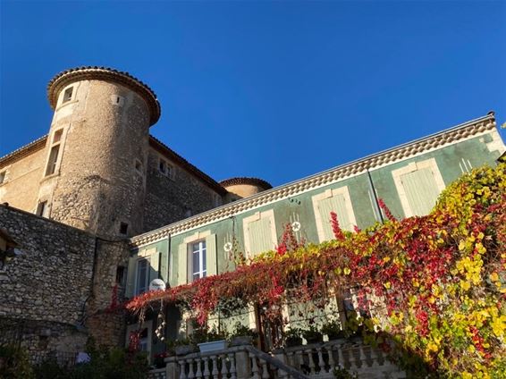 Met vakantiegroeten uit... de Provence - Pelt