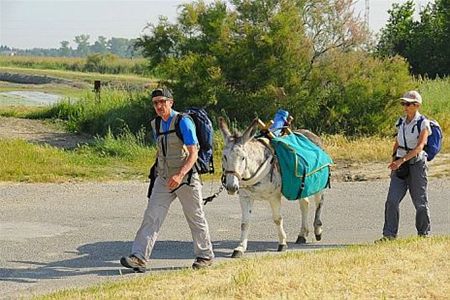 Met vakantiegroeten uit... de Provence - Overpelt