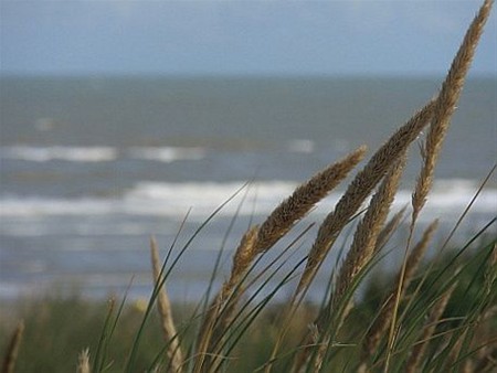 Met vakantiegroeten uit... Knokke-Heist - Neerpelt