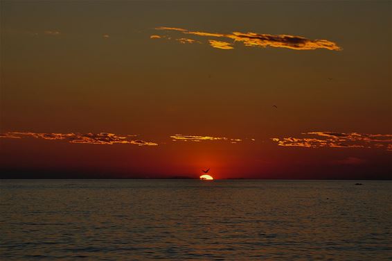 Met vakantiegroeten uit... Kroatië - Hamont-Achel