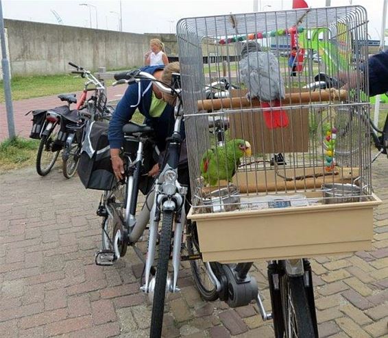 Met vakantiegroeten uit... Nederland - Hechtel-Eksel