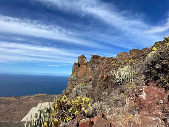 Met vakantiegroeten uit... Tenerife - Pelt