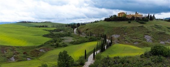 Met vakantiegroeten uit... Toscane - Pelt