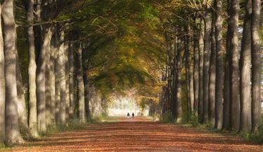 Met wandelgroeten uit... Heers