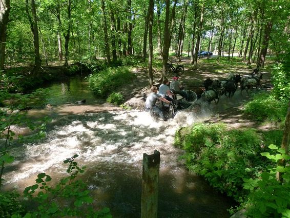 Met z'n zessen door de Prinsenloop - Hamont-Achel