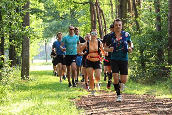 Midzomerrun: gratis natuurloop op 6 augustus - Oudsbergen