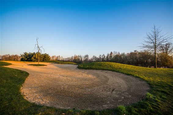 Millennium Golf krijgt grote onderhoudsbeurt - Beringen