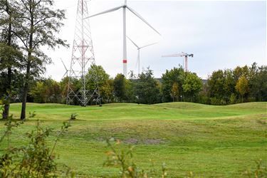 Millennium Golf plant grote landschapsberm - Beringen