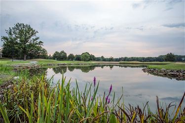 Millenniumgolf Paal - Beringen