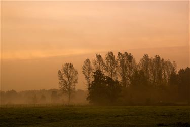 Mistige herfstochtend - Beringen