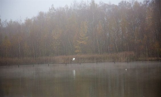 Mist boven de Sahara - Lommel