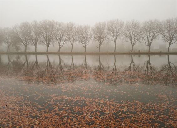 Mist boven het kanaal - Bocholt