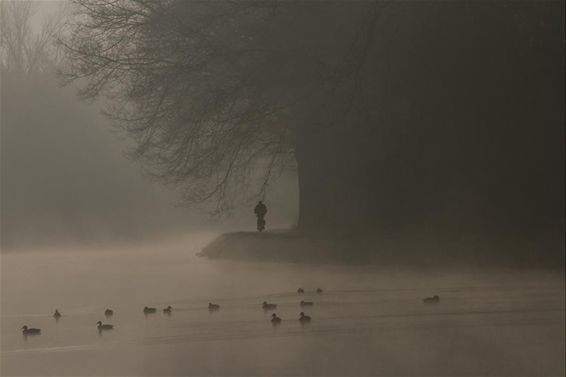 Mist boven het kanaal - Neerpelt