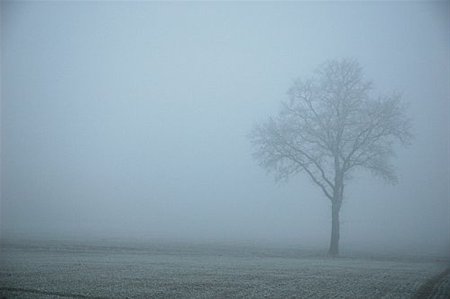 Mist en  koude - Neerpelt