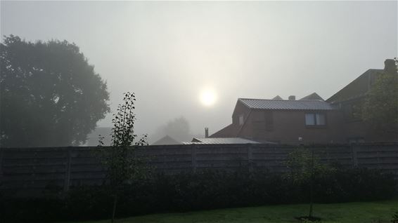 Mist en zon - Pelt