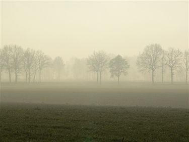 Mist of geen mist, dat is de vraag