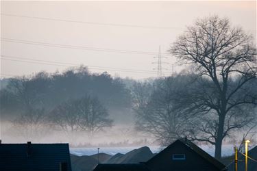 Mistig weer - Beringen & Leopoldsburg