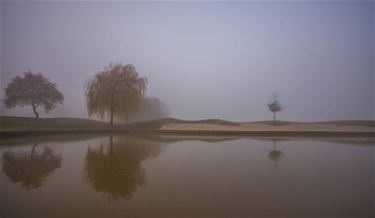 Mistige ochtend aan de Paalse Plas - Beringen