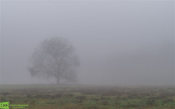 Pelt - Mistige start, toch nog zon