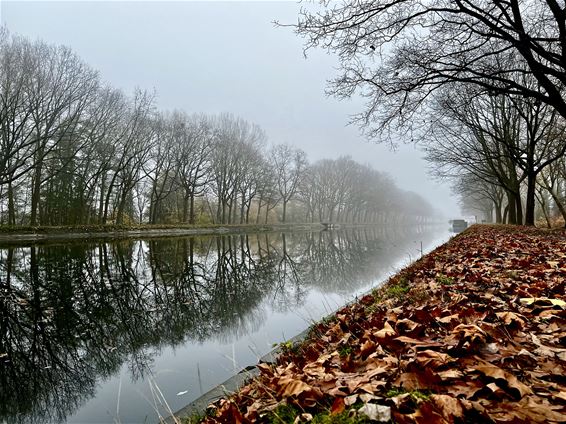 Mistige zaterdagavond kondigt kil herfstweer aan - Pelt