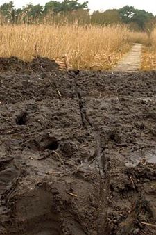 Modder in het Hageven - Neerpelt