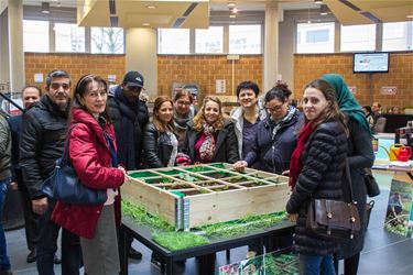 Moestuin in bibliotheek van Beringen - Beringen