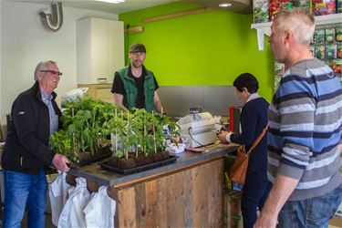 Moestuinieren is trendy - Beringen