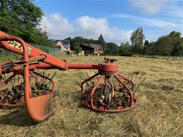 Moett' in 't heu gaa' werken? - Beringen & Leopoldsburg
