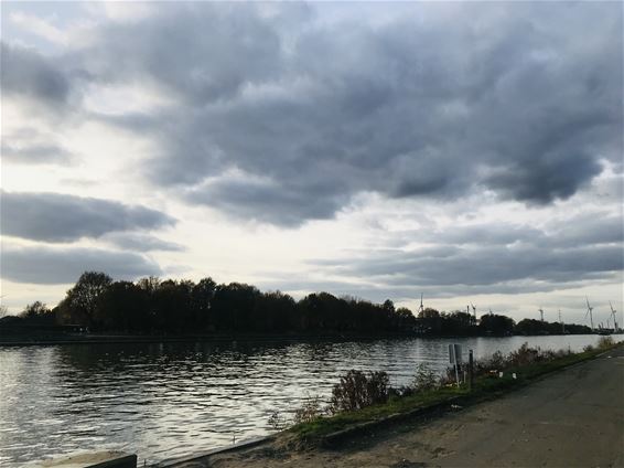 Mogelijke bron van geurhinder gevonden - Beringen