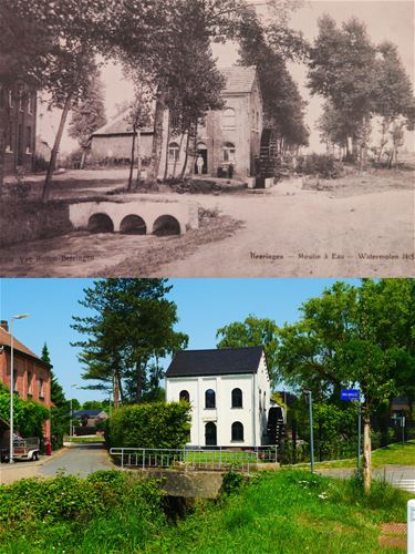 Molen Beringen - Beringen