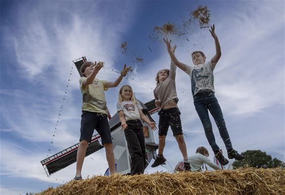 Molenfeesten met ambachtenfestival - Lommel