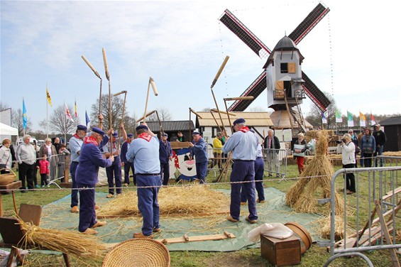 Molenfeesten op Kattenbos - Lommel