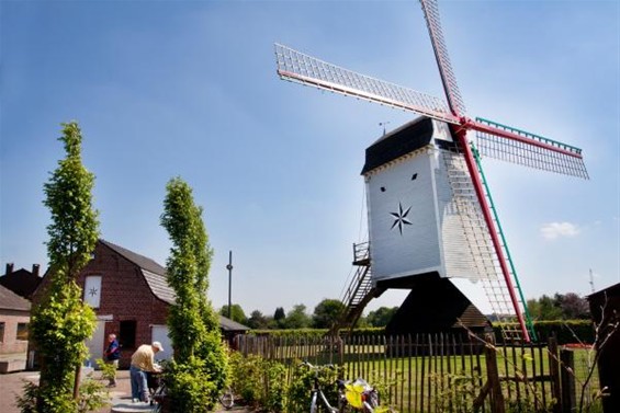 Molenhuisje als toeristisch kantoor - Hechtel-Eksel