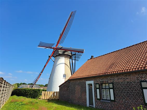 Molenwieken in rouwstand - Bocholt