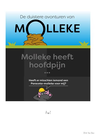 Hamont-Achel - Molleke - 10 januari '26