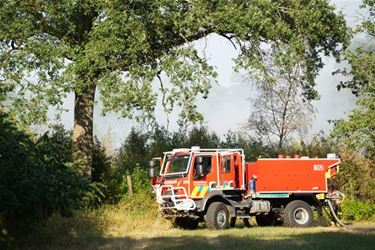 Mondelinge vraag over brandgevaar in natuurgebied - Beringen