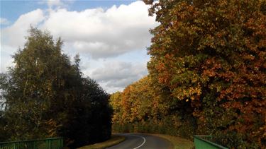 Mooi herfstweer - Beringen