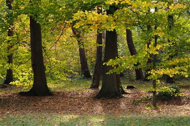 Mooi herfstweer - Beringen