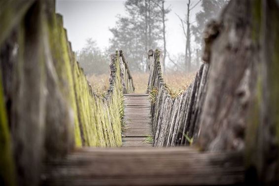 Mooi is het Hageven - Neerpelt