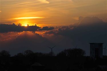 Mooi lenteweer - Beringen