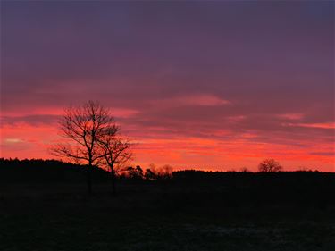 Mooie start van de dag - Beringen