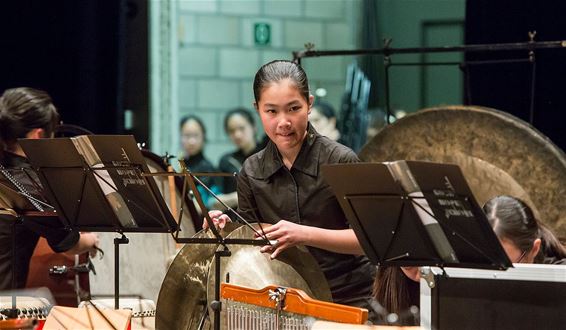 Mooi verbroederingsconcert in Palethe - Overpelt