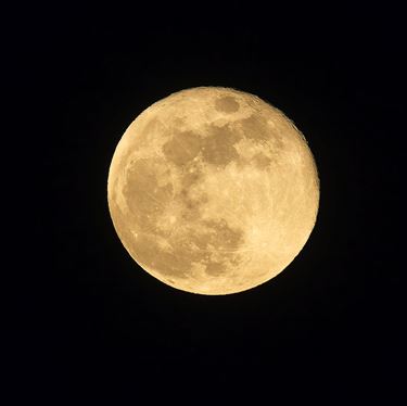 Mooie volle maan - Beringen & Leopoldsburg