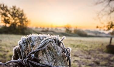 Mooi wandelweekend - Beringen