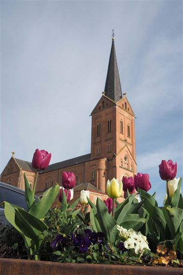 Mooi wandelweer - Beringen