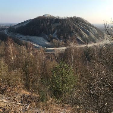 Mooi wandelweer - Beringen