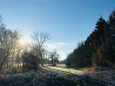 Mooi wandelweer - Beringen