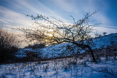 Mooi wandelweer - Beringen